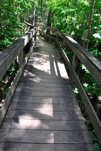 bridge by Nation Ford Road sign